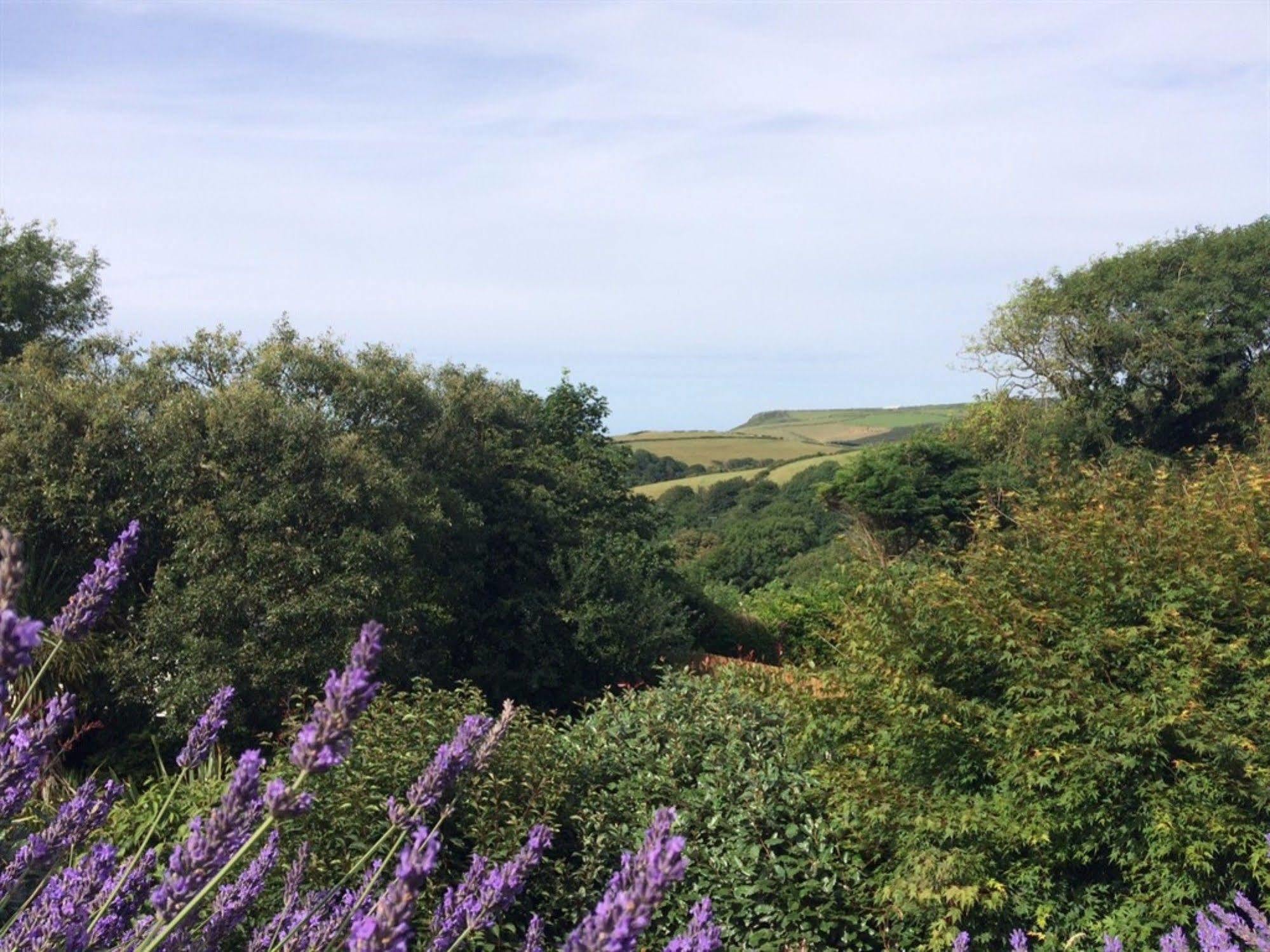 Bed and Breakfast Boscastle House Exterior foto