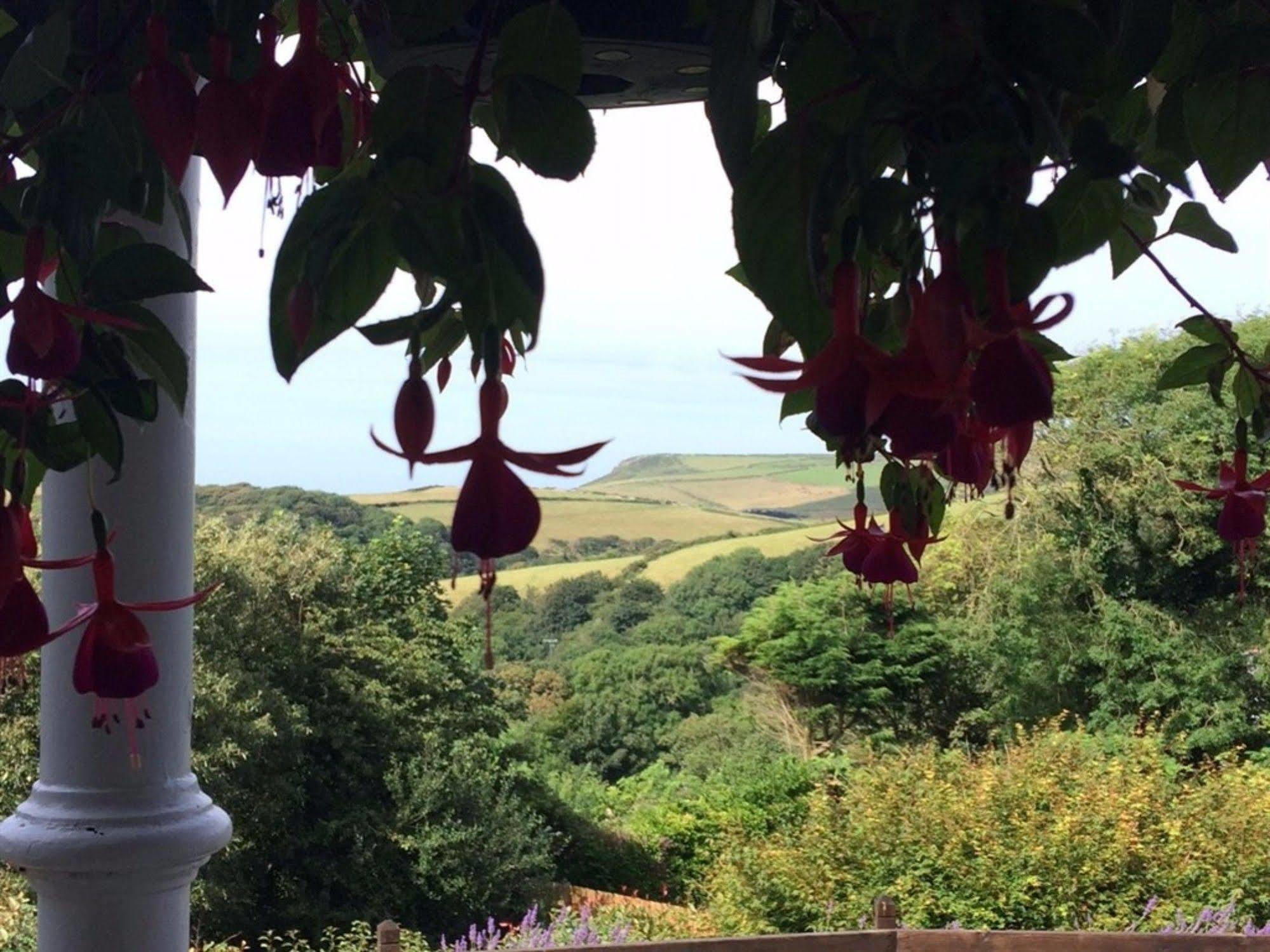 Bed and Breakfast Boscastle House Exterior foto